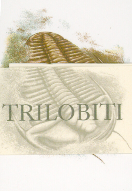 Trilobiti : kapesní atlas