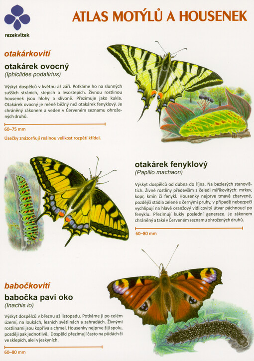 Atlas motýlů a housenek