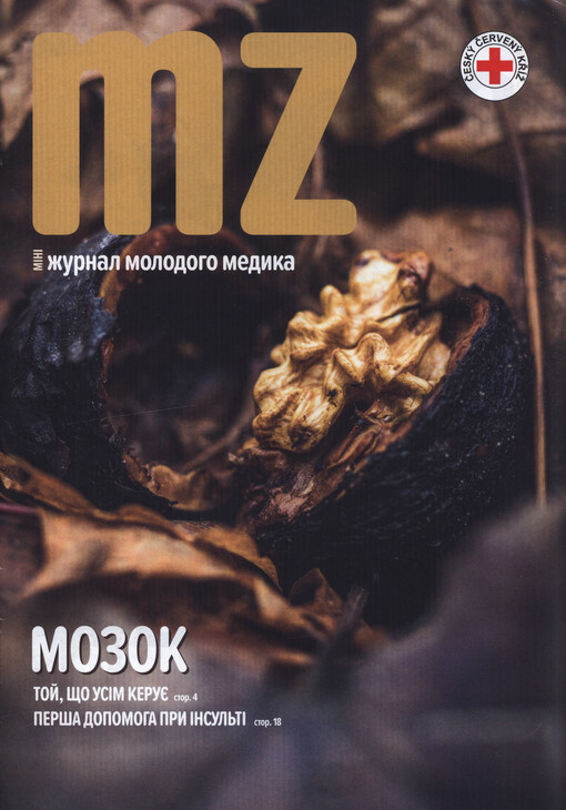 Mozok