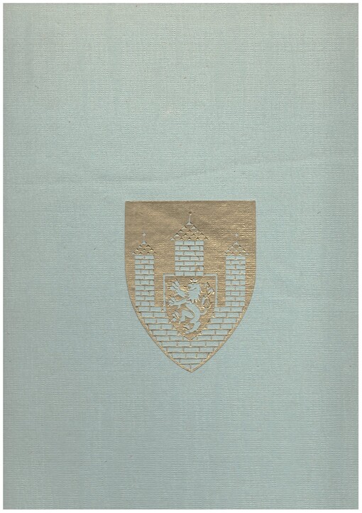 České Budějovice v dřevorytech Karla Štěcha