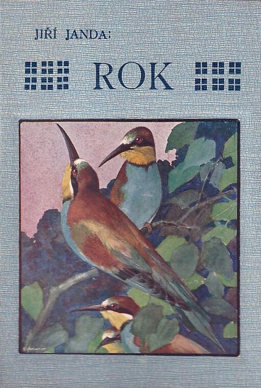 Rok :obrázky z přírody