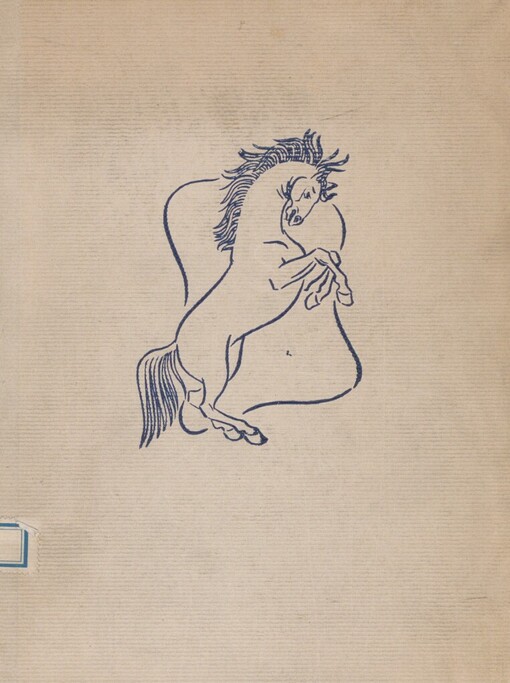 Hřebeček: podivuhodné příběhy koně