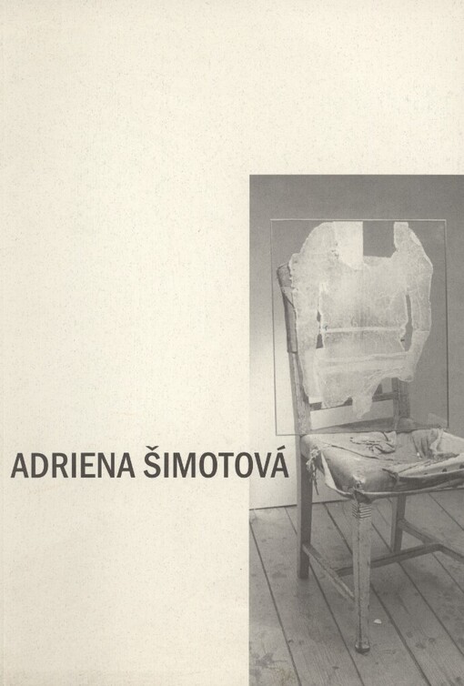 Co mizí a co zůstává: [katalog výstavy : Dům umění města Brna 12.9.-13.10. 1996