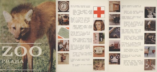 Zoo Praha :Umíte se dívat na zvířata?