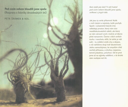 Pod cizím nebem bloudili jsme spolu: (rozpravy s básníky devadesátých let)