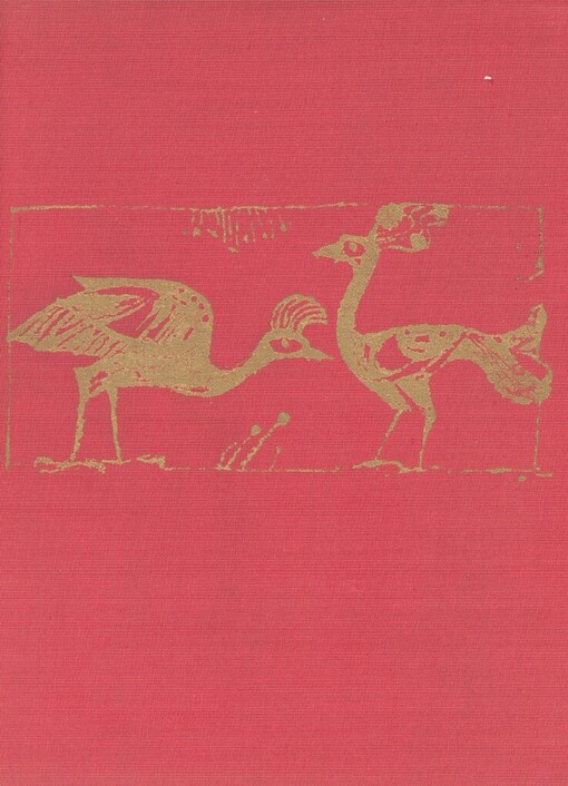 Nejkrásnější zahrada: indické pohádky