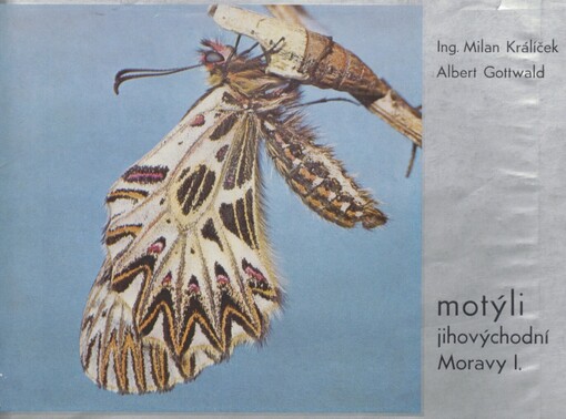 Motýli jihovýchodní Moravy.I