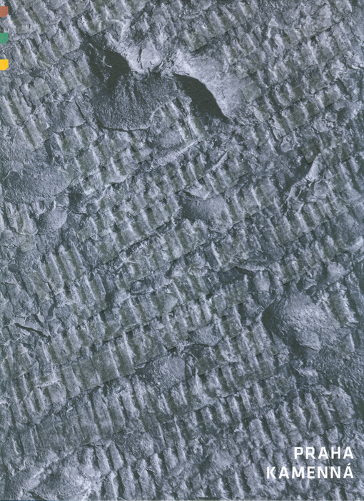 Praha kamenná : topografie povrchu kamene a její aplikace v oblasti restaurování kamenných prvků
