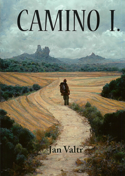 Camino I. : cesta ze St. Jean do Santiaga de Compostela