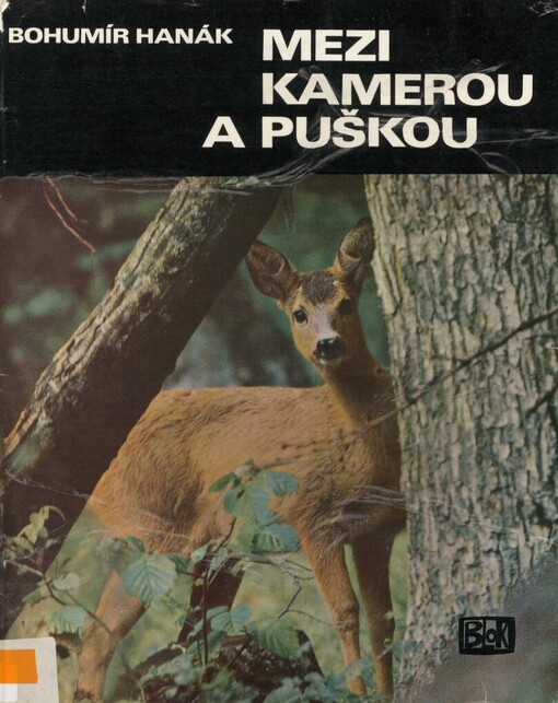 Mezi kamerou a puškou