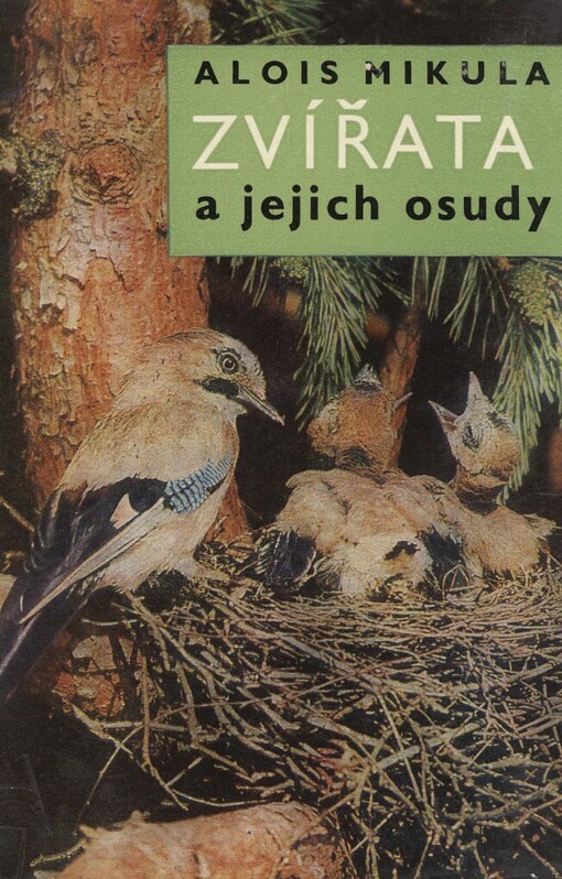 Zvířata a jejich osudy