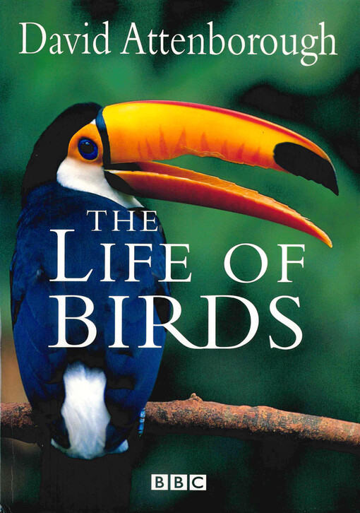 The life of birds
