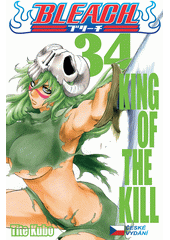 Bleach. 34, King of the kill  (odkaz v elektronickém katalogu)