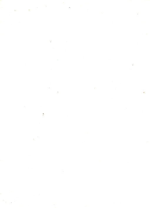 Die Ernährungstherapie der Hildegard von Bingen