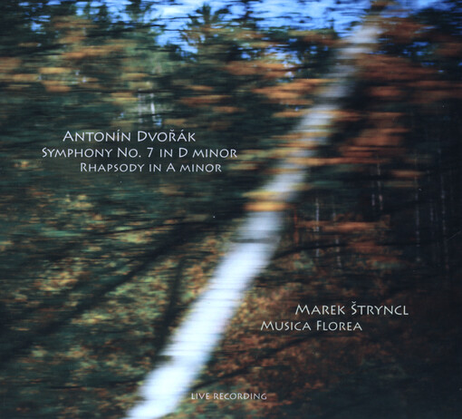 Symphony No. 7 in D minor