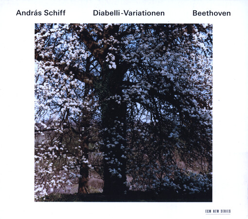 Diabelli-Variationen