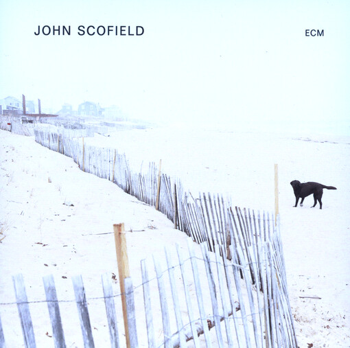 John Scofield : solo