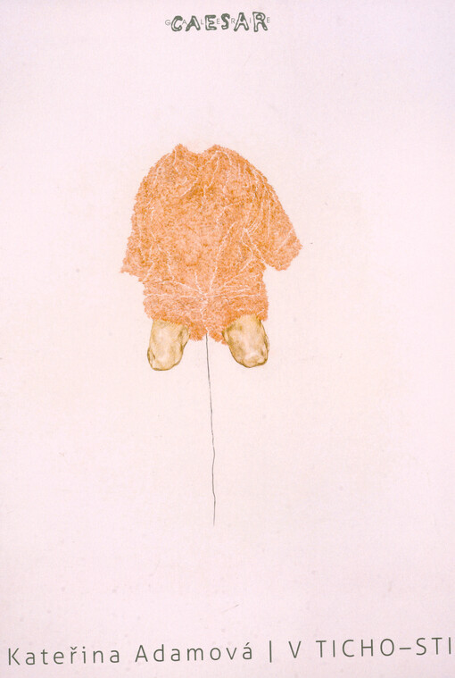 Kateřina Adamová: v ticho-sti