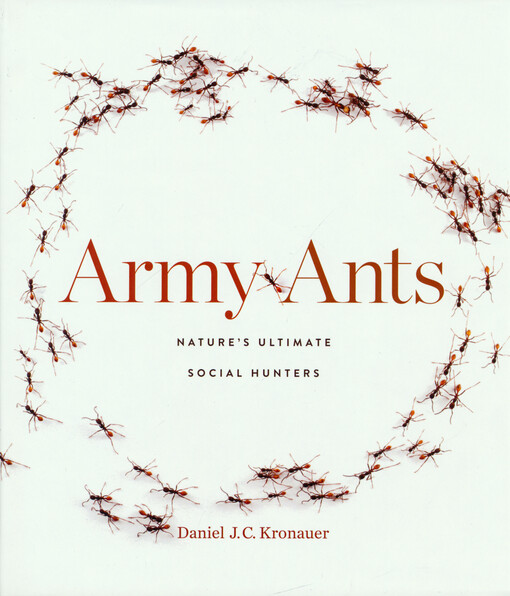 Army ants : nature's ultimate social hunters