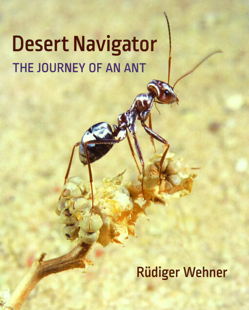Desert navigator : the journey of an ant