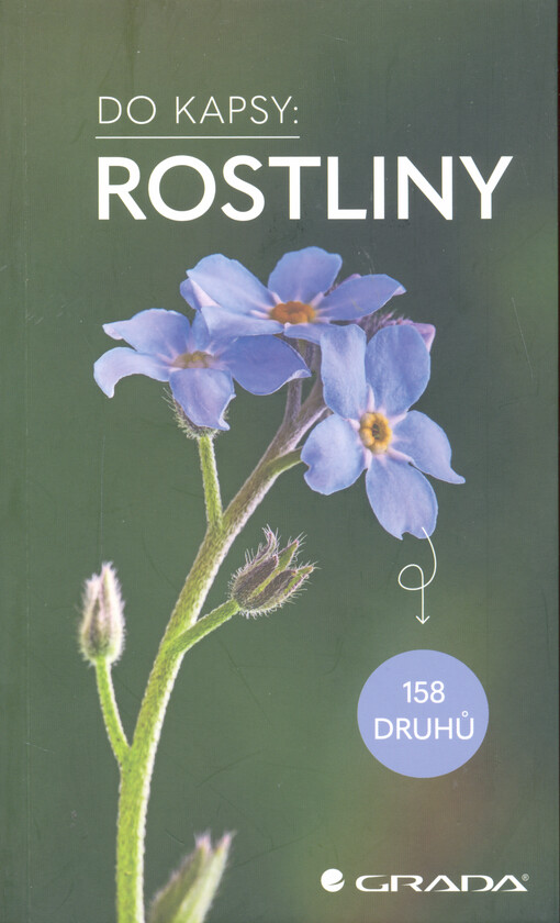 Rostliny : 158 druhů