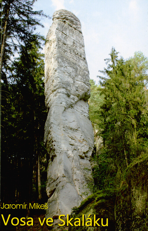 Vosa ve Skaláku