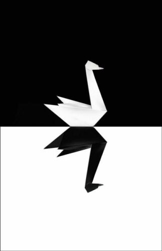 The Black Swan: The Impact of the Highly Improbable