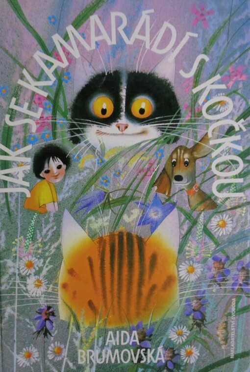 Jak se kamarádí s kočkou