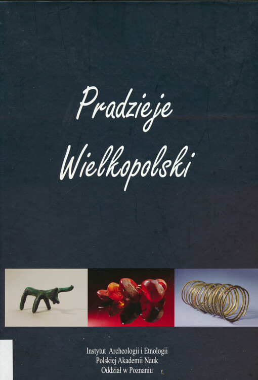 Pradzieje Wielkopolski : od epoki kamienia do średniowiecza