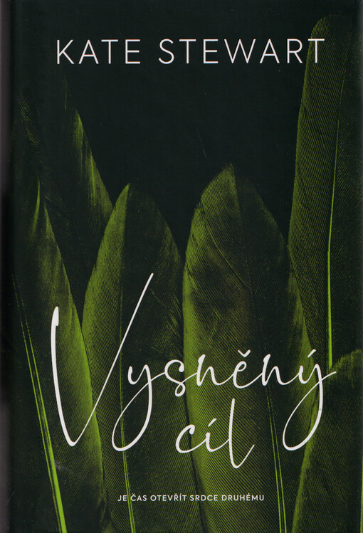 Vysněný cíl. Kniha třetí