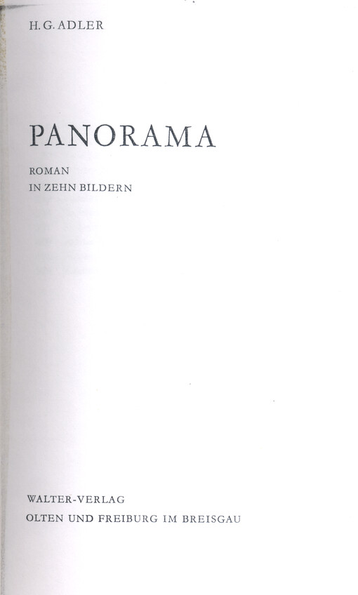Panorama : Roman in zehn Bildern