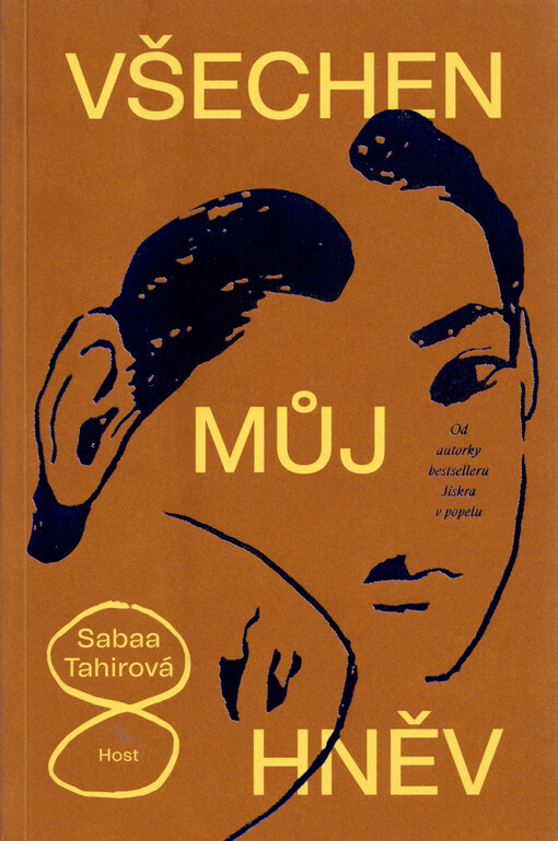 Všechen můj hněv