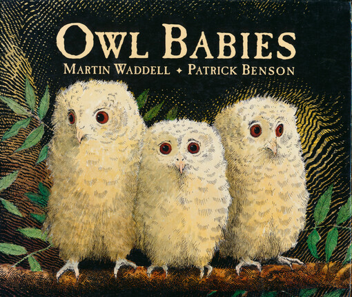 Owl babies