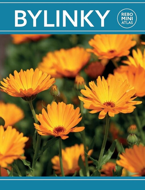 Bylinky