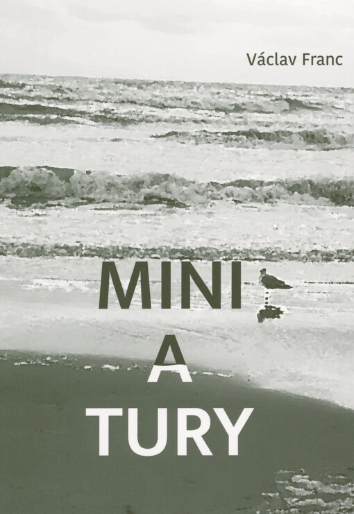 Miniatury