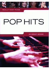 Pop Hits : 22 great songs (odkaz v elektronickém katalogu)