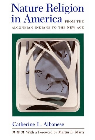 Nature Religion in America: From the Algonkian Indians to the New Age (Chicago History of American Religion)