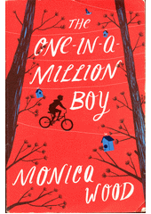 The one-in-a-million boy  (odkaz v elektronickém katalogu)
