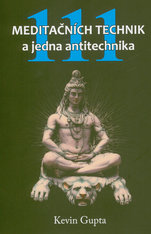 111 meditačních technik a jedna antitechnika : nalezněte takovou, která je přesně pro vás