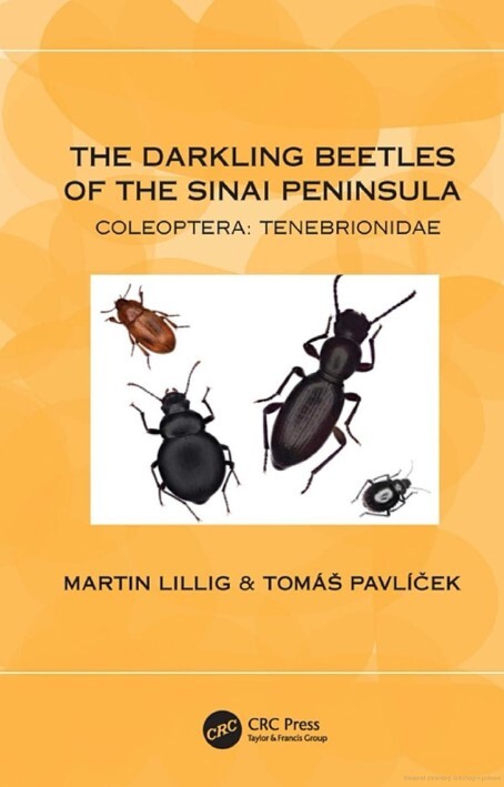The darkling beetles of the Sinai Peninsula : Coleoptera: Tenebrionidae