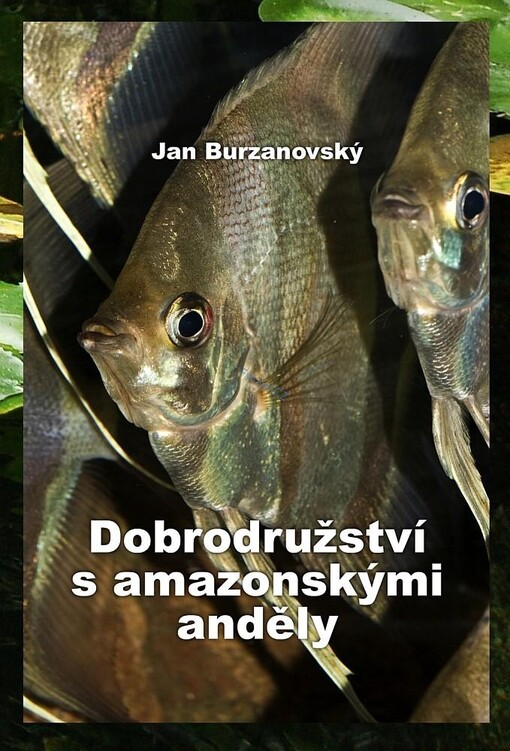 Dobrodružství s amazonskými anděly