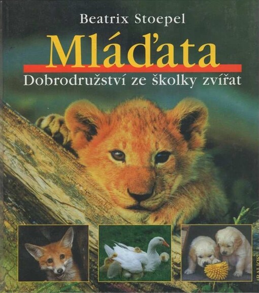 Mláďata :dobrodružství ze školky zvířat