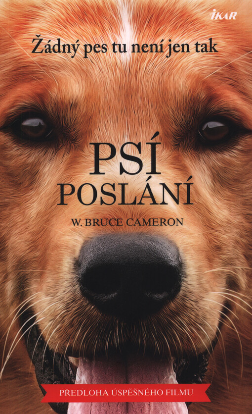 Psí poslání : žádný pes tu není jen tak