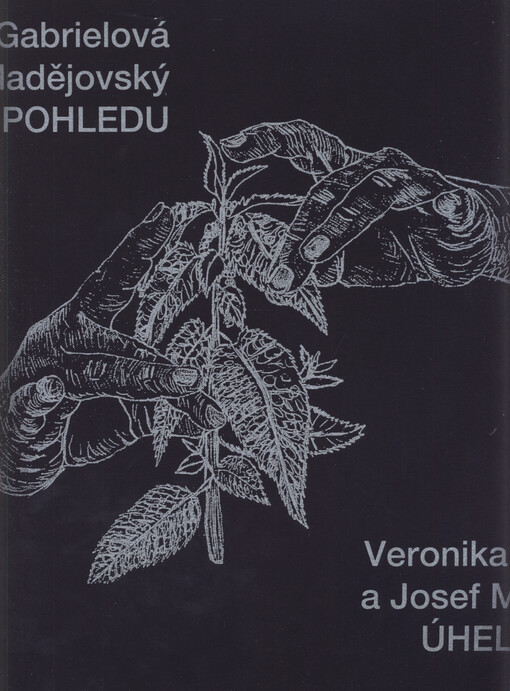 Veronika Gabrielová a Josef Mladějovský : úhel pohledu = a point of view : 11. května - 8. června 2023 Galerie U Betlémské kaple
