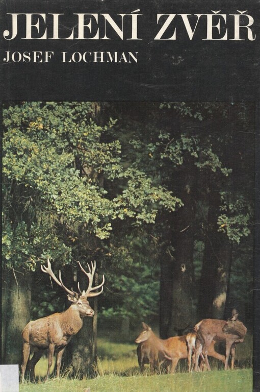 Jelení zvěř