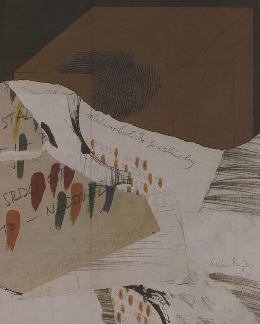 Dalibor Chatrný: orbe pictus