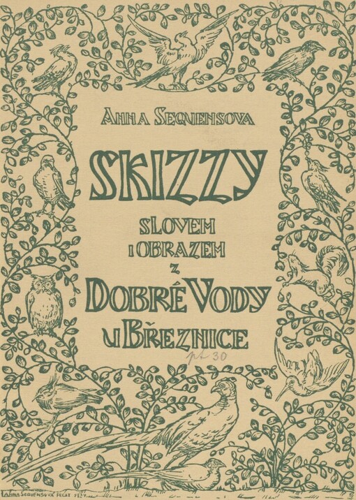 Skizzy slovem i obrazem z Dobré Vody u Březnice :[přednášku ... proslovila autorka na schůzi 