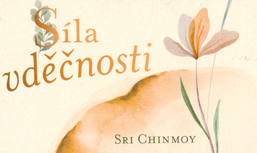 Síla vděčnosti