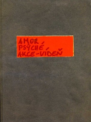 Ženský element ve vídeňském akcionismu :Sbírka Hummel Vídeň