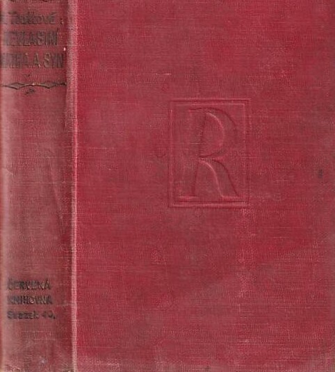 Nevlastní matka a syn :román